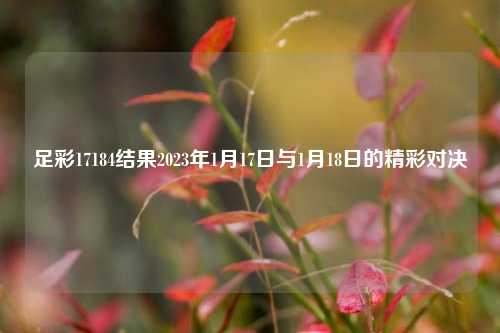 足彩17184结果2023年1月17日与1月18日的精彩对决