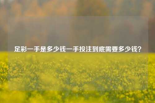 足彩一手是多少钱一手投注到底需要多少钱？