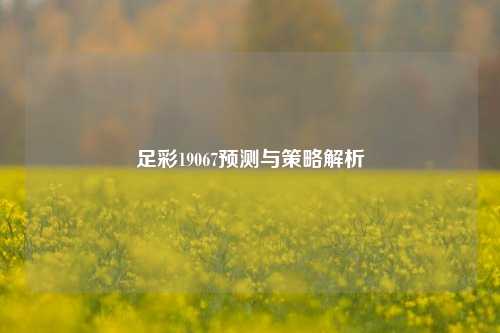 足彩19067预测与策略解析