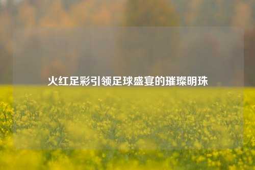 火红足彩引领足球盛宴的璀璨明珠
