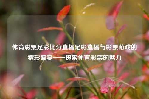 体育彩票足彩比分直播足彩直播与彩票游戏的精彩盛宴——探索体育彩票的魅力