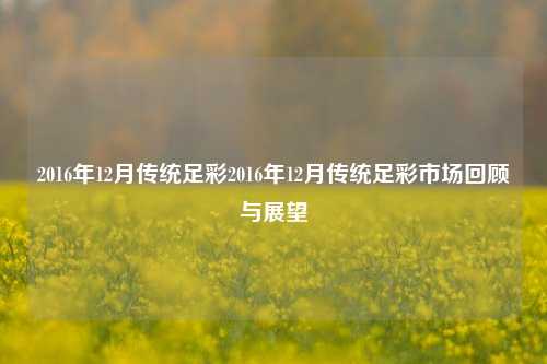 2016年12月传统足彩2016年12月传统足彩市场回顾与展望