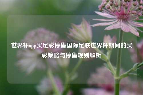 世界杯app买足彩停售国际足联世界杯期间的买彩策略与停售规则解析