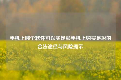 手机上哪个软件可以买足彩手机上购买足彩的合法途径与风险提示