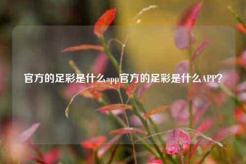 官方的足彩是什么app官方的足彩是什么APP？