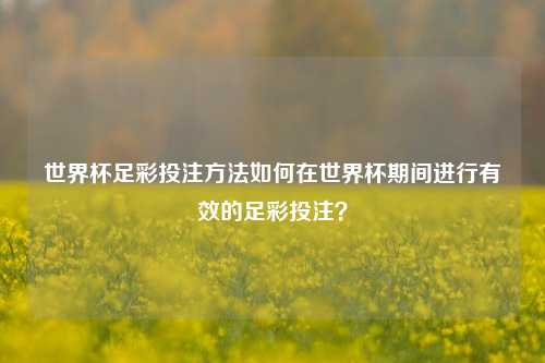 世界杯足彩投注方法如何在世界杯期间进行有效的足彩投注？