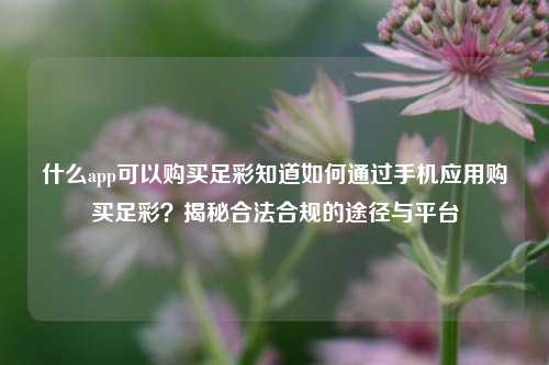 什么app可以购买足彩知道如何通过手机应用购买足彩？揭秘合法合规的途径与平台