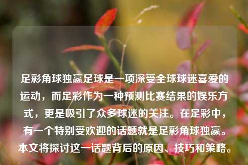 足彩角球独赢足球是一项深受全球球迷喜爱的运动，而足彩作为一种预测比赛结果的娱乐方式，更是吸引了众多球迷的关注。在足彩中，有一个特别受欢迎的话题就是足彩角球独赢。本文将探讨这一话题背后的原因、技巧和策略。