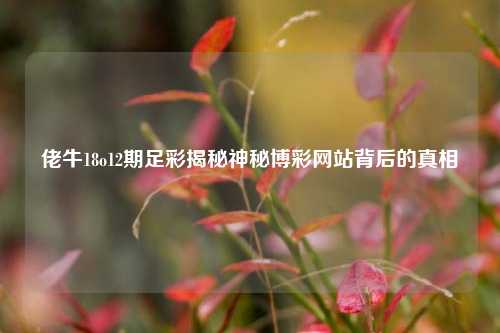 佬牛18o12期足彩揭秘神秘博彩网站背后的真相