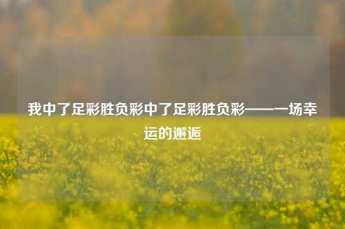 我中了足彩胜负彩中了足彩胜负彩——一场幸运的邂逅