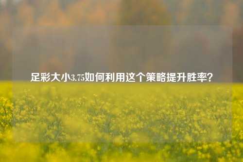 足彩大小3.75如何利用这个策略提升胜率？
