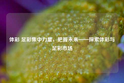 体彩 足彩集中力量，把握未来——探索体彩与足彩市场