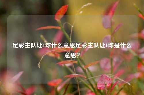 足彩主队让1球什么意思足彩主队让1球是什么意思？