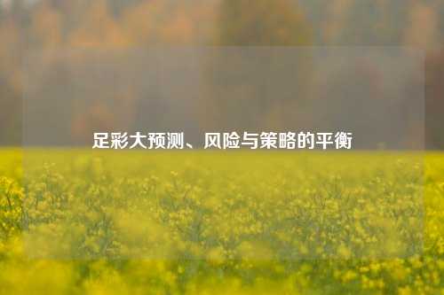 足彩大预测、风险与策略的平衡