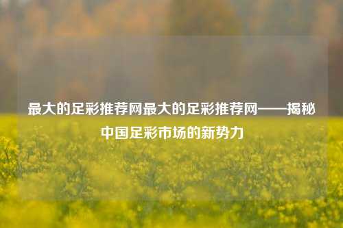 最大的足彩推荐网最大的足彩推荐网——揭秘中国足彩市场的新势力