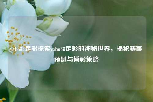 yabo88足彩探索yabo88足彩的神秘世界，揭秘赛事预测与博彩策略