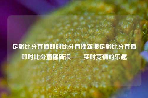 足彩比分直播即时比分直播新浪足彩比分直播即时比分直播新浪——实时竞猜的乐趣