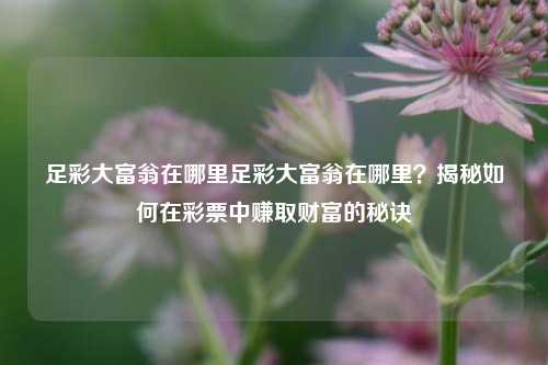 足彩大富翁在哪里足彩大富翁在哪里？揭秘如何在彩票中赚取财富的秘诀