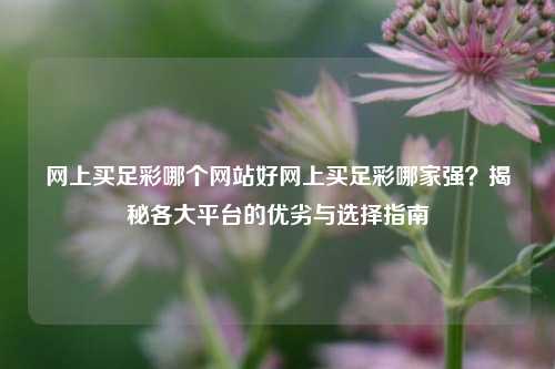 网上买足彩哪个网站好网上买足彩哪家强？揭秘各大平台的优劣与选择指南