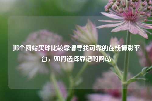 哪个网站买球比较靠谱寻找可靠的在线博彩平台，如何选择靠谱的网站