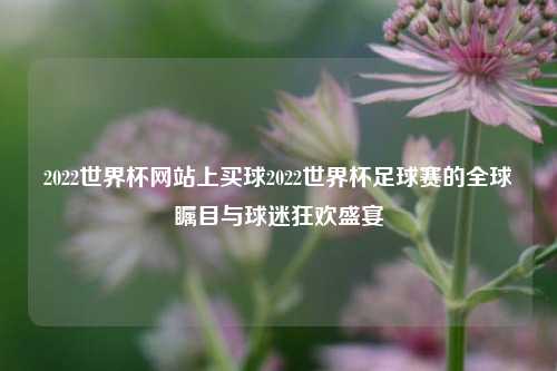 2022世界杯网站上买球2022世界杯足球赛的全球瞩目与球迷狂欢盛宴