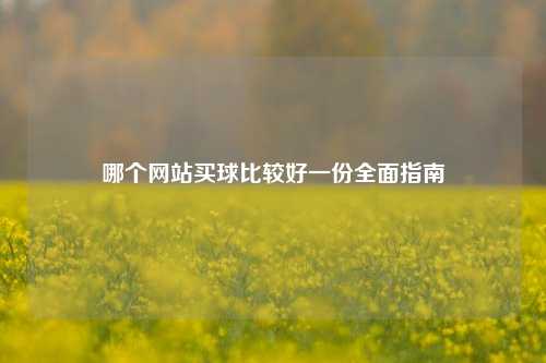 哪个网站买球比较好一份全面指南