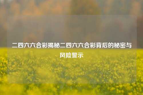 二四六六合彩揭秘二四六六合彩背后的秘密与风险警示