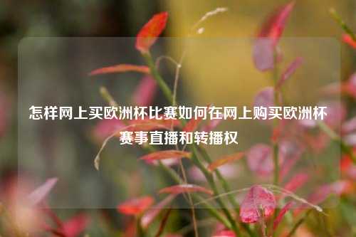 怎样网上买欧洲杯比赛如何在网上购买欧洲杯赛事直播和转播权