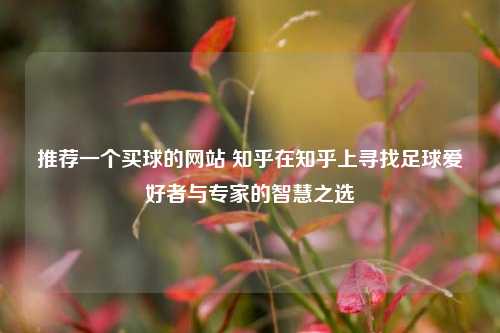 推荐一个买球的网站 知乎在知乎上寻找足球爱好者与专家的智慧之选