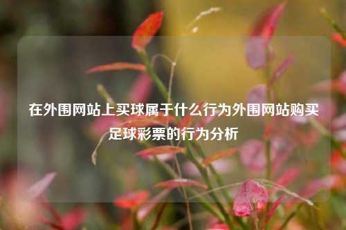 在外围网站上买球属于什么行为外围网站购买足球彩票的行为分析