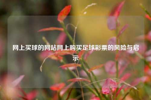网上买球的网站网上购买足球彩票的风险与启示