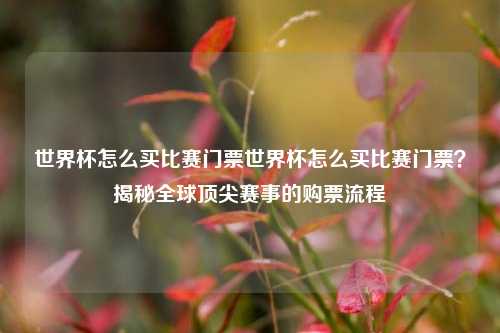 世界杯怎么买比赛门票世界杯怎么买比赛门票？揭秘全球顶尖赛事的购票流程