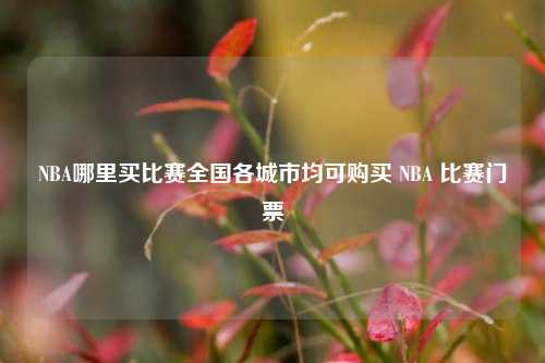NBA哪里买比赛全国各城市均可购买 NBA 比赛门票
