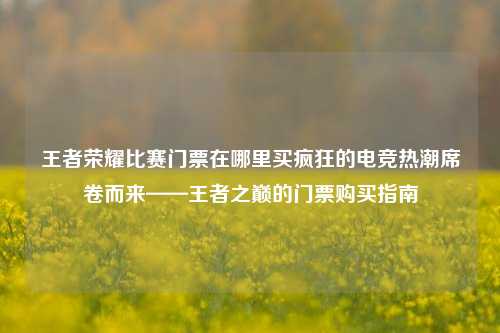 王者荣耀比赛门票在哪里买疯狂的电竞热潮席卷而来——王者之巅的门票购买指南