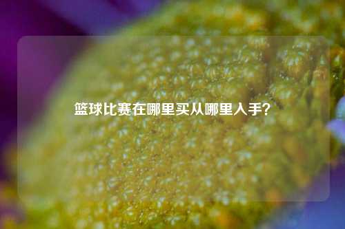 篮球比赛在哪里买从哪里入手？