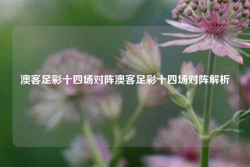 澳客足彩十四场对阵澳客足彩十四场对阵解析