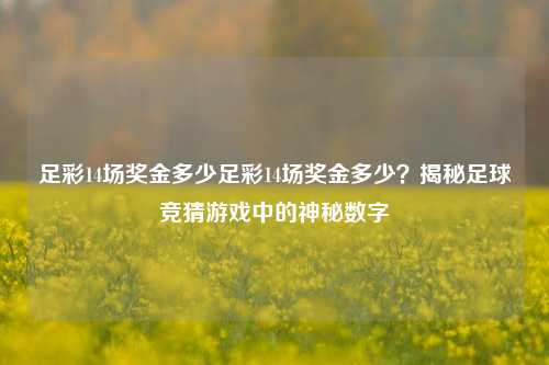 足彩14场奖金多少足彩14场奖金多少？揭秘足球竞猜游戏中的神秘数字