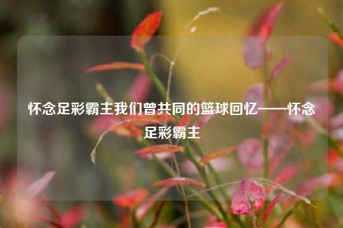 怀念足彩霸主我们曾共同的篮球回忆——怀念足彩霸主