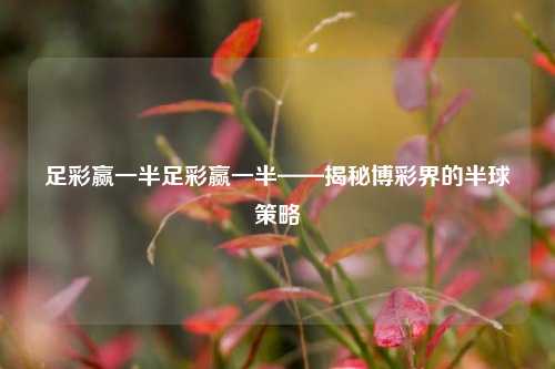 足彩赢一半足彩赢一半——揭秘博彩界的半球策略