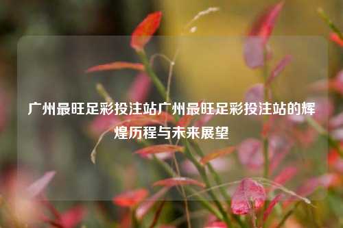 广州最旺足彩投注站广州最旺足彩投注站的辉煌历程与未来展望
