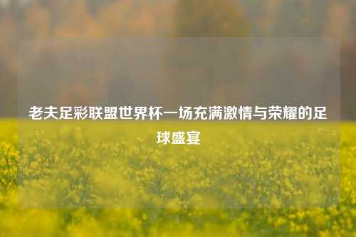 老夫足彩联盟世界杯一场充满激情与荣耀的足球盛宴