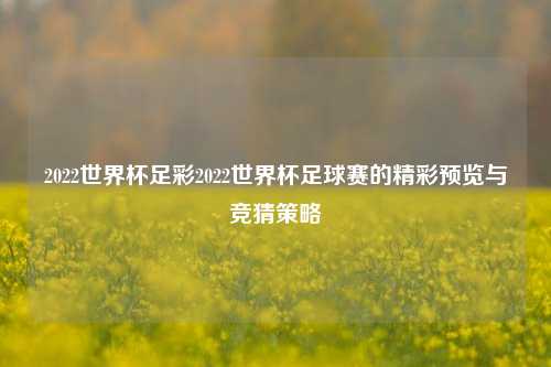 2022世界杯足彩2022世界杯足球赛的精彩预览与竞猜策略